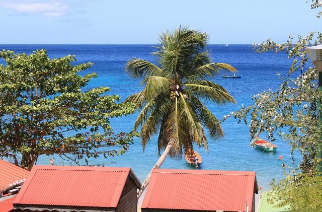 Plongée en Martinique, que peut-on découvrir ?